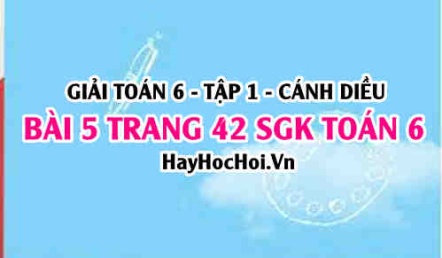 Giải bài 5 trang 42 Toán 6 Tập 1 SGK Cánh Diều